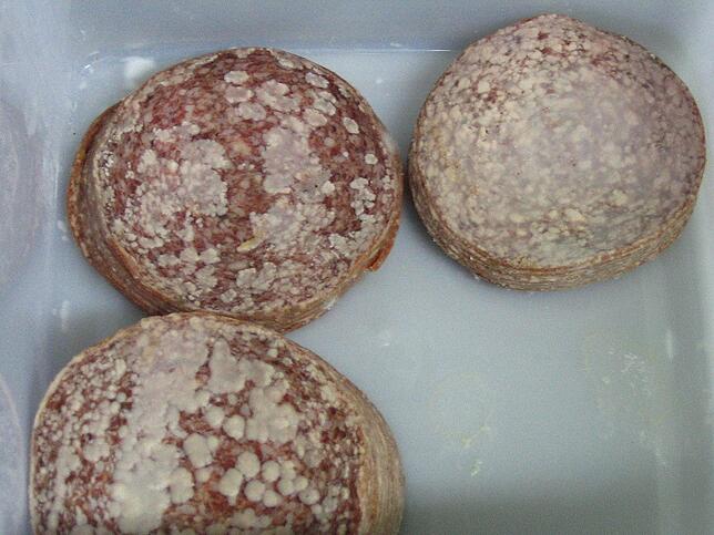 Aus dem Archiv des Veterinäramtes: Schimmelige Salami gehört nicht in einen Gastronomiebetrieb.