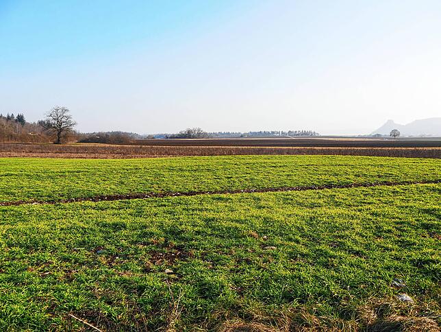 Im Gewann unter Gerhardsreute könnte eine Freiflächen-Solaranlage zwischen Mühlhausen und dem Singener Stadtteil Schlatt entstehen.