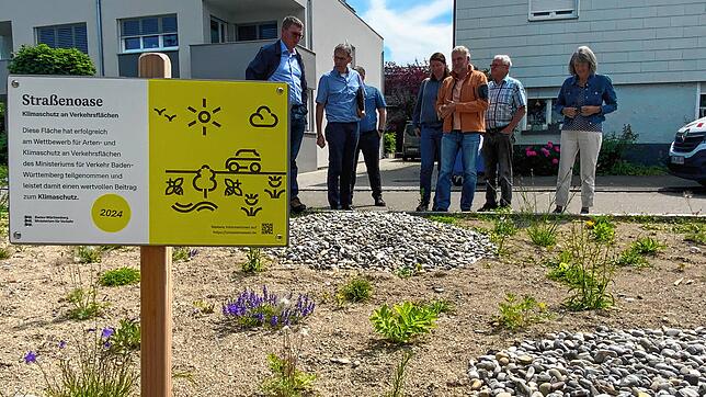 Wie steht es um Biodiversität und Hitzeregulation? Die Biodiversitätsgruppe besichtigt umgesetzte Projekte – hier in einem Wohngebiet. ...
