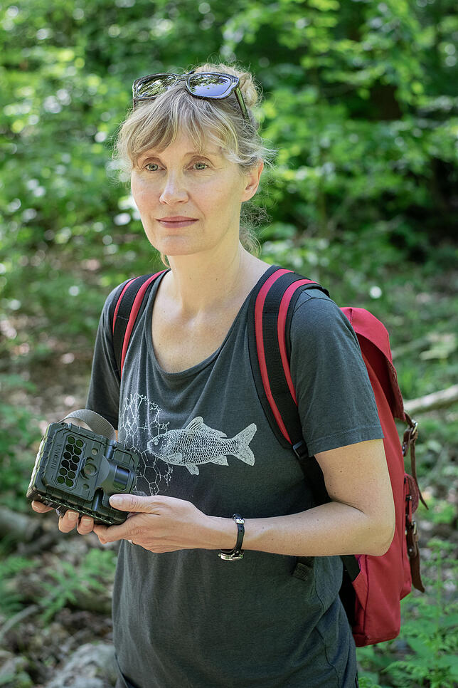 Bild 1: Ein Dachs im Garten und die Hauskatze im Streit mit einem Marder: So sieht es aus, wenn Wildtiere Konstanz heimsuchen