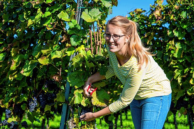 Rebecca Röhrenbach, die jüngste der Familie, vor ihren Weinreben.