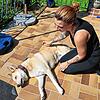 Sabrina Gutt ist eine mobile Tierphysiotherapeutin aus Waldhausen. Auch ihre eigene Hündin Lola behandelt sie mit Massagen und ...