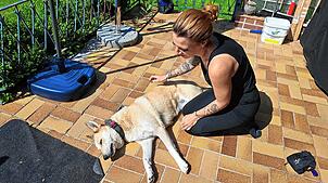 Sabrina Gutt ist eine mobile Tierphysiotherapeutin aus Waldhausen. Auch ihre eigene Hündin Lola behandelt sie mit Massagen und ...