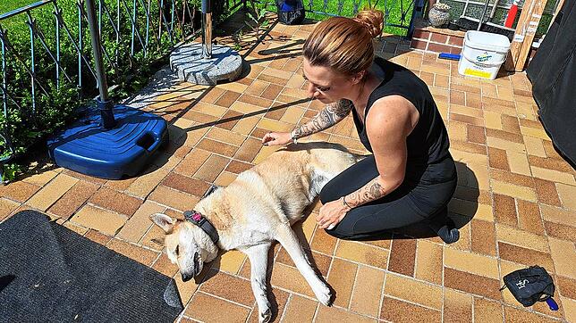 Sabrina Gutt ist eine mobile Tierphysiotherapeutin aus Waldhausen. Auch ihre eigene Hündin Lola behandelt sie mit Massagen und ...