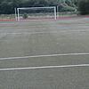 Lange waren Kunstrasenplätze die perfekte Lösung für Vereine und Schulsport. Das Material ist extrem strapazierfähig, die Pflege ...