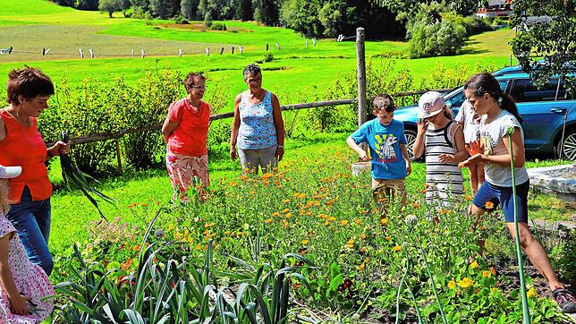 Kein Blumenpflücken – hier im Garten von Luitgard Fehrenbach werden die duftenden Kräuter für das Kräutersalz gesammelt. Bilder: ...