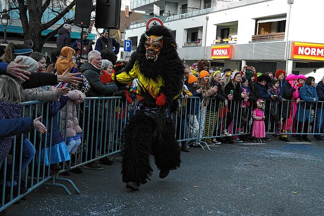 Bild 6: Bilder vom Narrensprung der Narrenzunft Seegockel in Friedrichshafen (3/3)