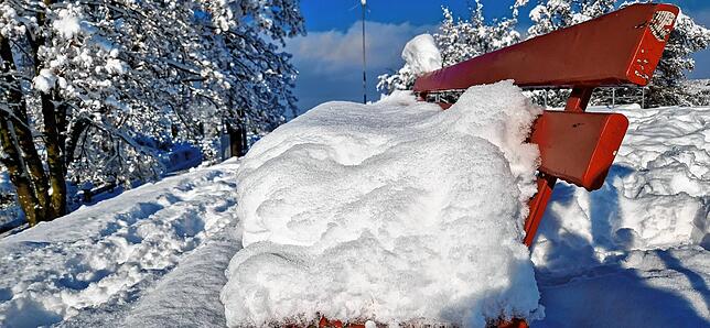 Bild 27: Was für ein Wintereinbruch am Bodensee: Die schönsten Schnee-Bilder vom Wochenende