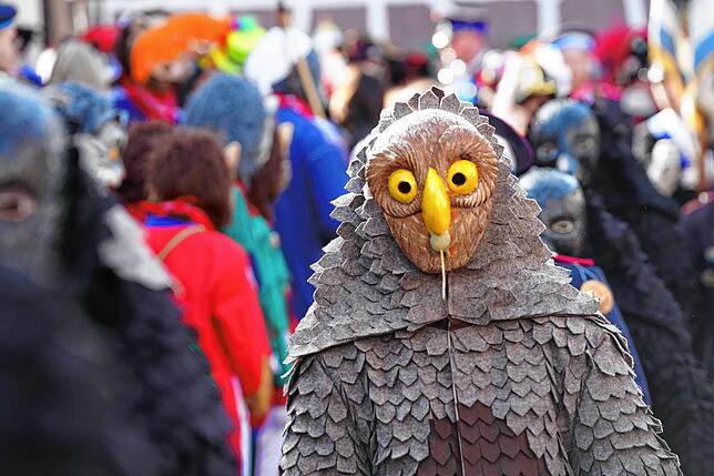 Bild 15: Katerbefreiung im Riet 2025 bei der Villinger Fasnacht