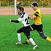 Bild :