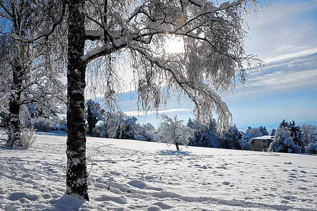 Bild 7: Immer noch überall Schnee: Der SÜDKURIER zeigt die schönsten Bilder der vergangenen Tage