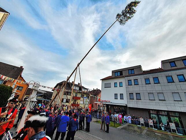 Bild 8: Bilder vom Umzug und Narrenbaumstellen in Ludwigshafen bei der Krone