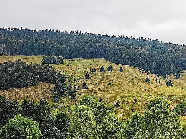 Quer über den Weidberg in Todtmoos-Weg (Bild) soll die neue Zipline „Flug am Weidberg“ führen.