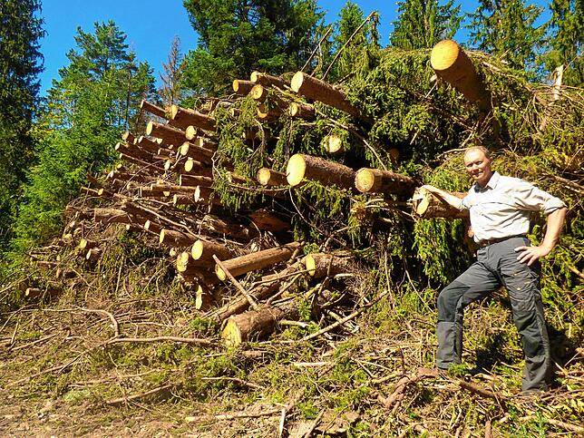 Förster Wolfgang Walz mit Überresten aus dem Wald im Revier Albbruck. Sie taugen nur noch als Hackschnitzel.