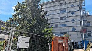 Das Medizinische Versorgungszentrum (MVZ) PI in Pfullendorf unter der Leitung von Dr. Kristina Korsake wird derzeit umgebaut. Das Team ...