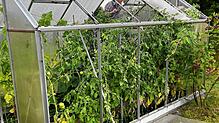 Gewitter am 20. Juli 2025: Die Wucht des Sturms hat in Riedern am Wald die Platten aus einem Gewächshaus herausgedrückt und weggeschleudert.