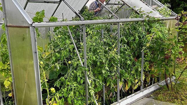 Gewitter am 20. Juli 2025: Die Wucht des Sturms hat in Riedern am Wald die Platten aus einem Gewächshaus herausgedrückt und weggeschleudert.