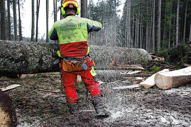 Arbeiten nach Sturmschäden im Villinger Wald im März 2020.