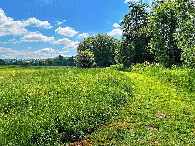 Fast könnte man denken, das Bild stammt aus Küssaberg. Es zeigt allerdings einen der vielen Wanderwege rund um La Talaudière.