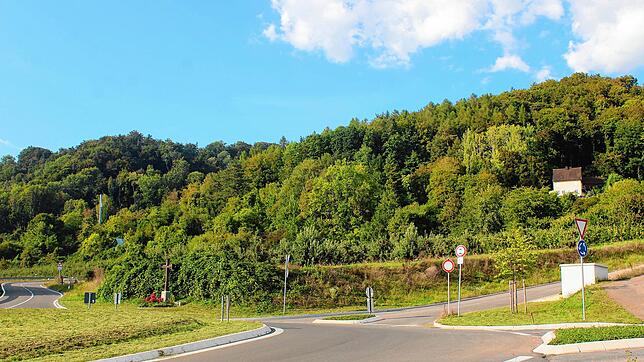 Links windet sich die Bergstraße den Hang hinauf, rechts liegt das Neubaugebiet Haiden: In der Mitte, wo jetzt noch Obstbau betrieben ...