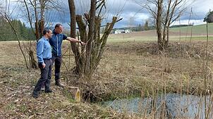 Martin Selz (rechts) und Martin Scheuble, Naturschutzwarte des Schwarzwaldvereins Bonndorf, entdecken Froschlaich auf dem Wasser des ...