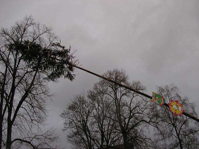Bild 1: Zur Vorsorge haben die Wolterdinger Narren ihren Narrenbaum am frühen Morgen gefällt