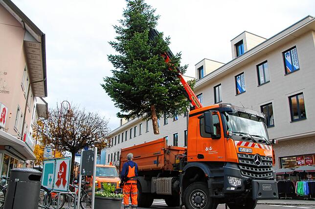 Ein Weihnachtsbaum schwebt am Montag, 20. November über der Tiengener Hauptstraße.