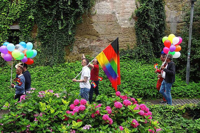 Bild 2: Der Überlinger CSD in Bildern, und dazwischen eine kleine Gruppe AfD