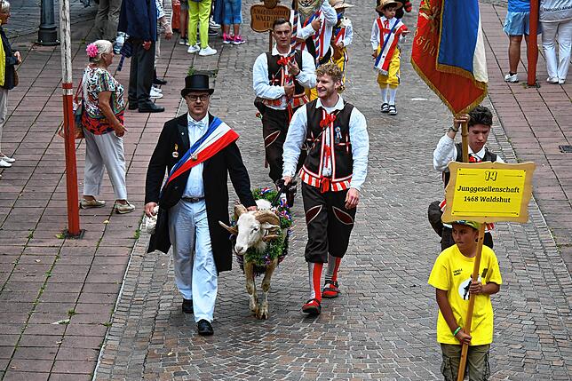 Bild 12: Bilder von der Bockverlosung