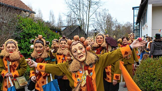 Das Archivbild zeigt den Narrenverein Büllebläri bei den Narrentagen im Jahr 2019 auf der Insel Reichenau. Archivbild: Oliver Hanser