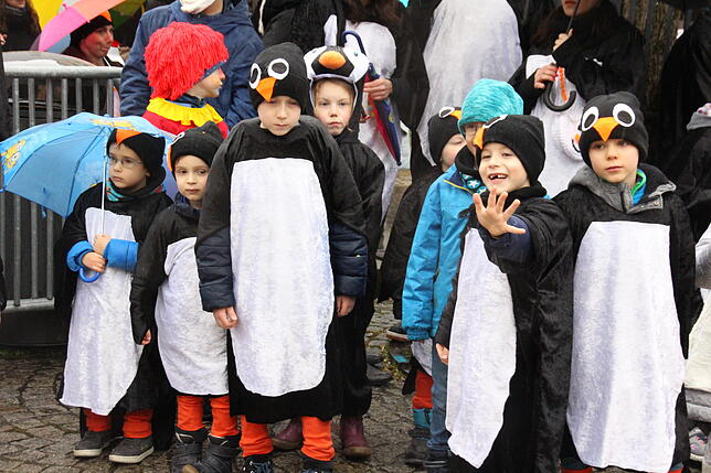 Eine Gruppe von jungen Pinguinen schaute dem Nachwuchs der Zimmerergilde beim Setzen des Kinder-Narrenbaums auf dem Gustav-Hammer-Platz ...