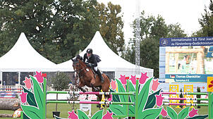 Bild :