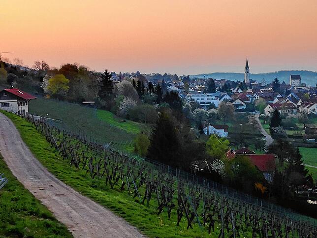 An der Wanger Halde gibt es einige wunderschöne Aussichtspunkte, hier ein Blick auf Markdorf, rechts hinten die Pfarrkirche St. Nikolaus ...