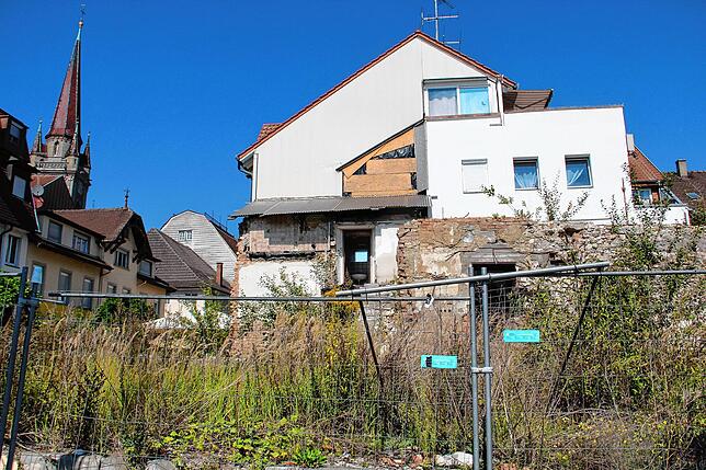 So zugewuchert war die Ruine des Hotel Viktoria bis 2023. Jetzt soll eine Folie die kahlen Mauern verbergen.