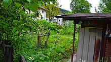 Ein Blick in die Kleingärten in St. Blasien. Die Stadt hat jüngst zwei Anlagen direkt am Albufer verkauft. Foto: Chrsitiane Sahli
