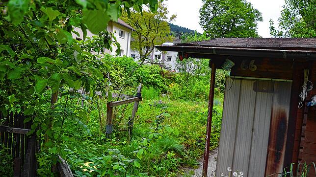 Ein Blick in die Kleingärten in St. Blasien. Die Stadt hat jüngst zwei Anlagen direkt am Albufer verkauft. Foto: Chrsitiane Sahli