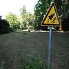 Fallen jetzt im Büdingen-Park die Bäume? Anwohner wollen das gerichtlich verhindern.
