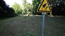 Fallen jetzt im Büdingen-Park die Bäume? Anwohner wollen das gerichtlich verhindern.