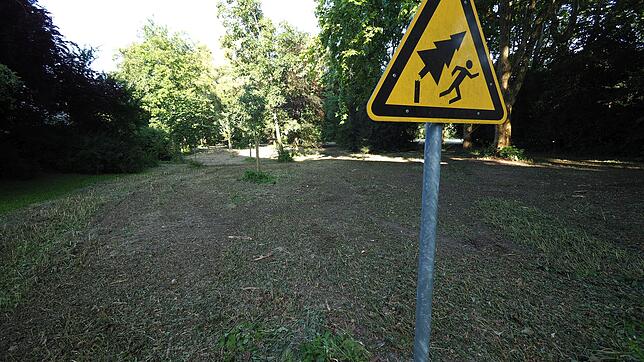 Fallen jetzt im Büdingen-Park die Bäume? Anwohner wollen das gerichtlich verhindern.