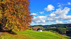 Das Online-Magazin &bdquo;Reisereporter&ldquo; stellt die schönsten Urlaubsorte im Schwarzwald vor. Schramberg-Tennenbronn ist unter den ...