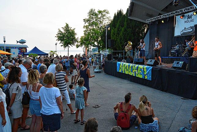 In der Musikmuschel präsentiert das Jugendzentrum Molke World Music, Balkan, Reggae, Hip-Hop, Rock und Pop. (Archivbild)