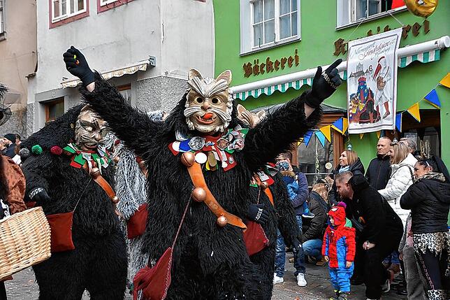 Bild 6: Bilder vom Narrenbaumstellen in Meersburg