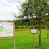 Probieren ist zwar erlaubt auf dem Streuobstlehrpfad, Pflücken und Sammeln im großen Stil soll aber unterlassen werden.