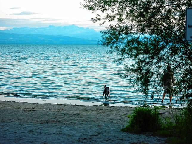 Der Sandstrand in Friedrichshafen liegt am Naturschutzgebiet Manzeller Hölzle.