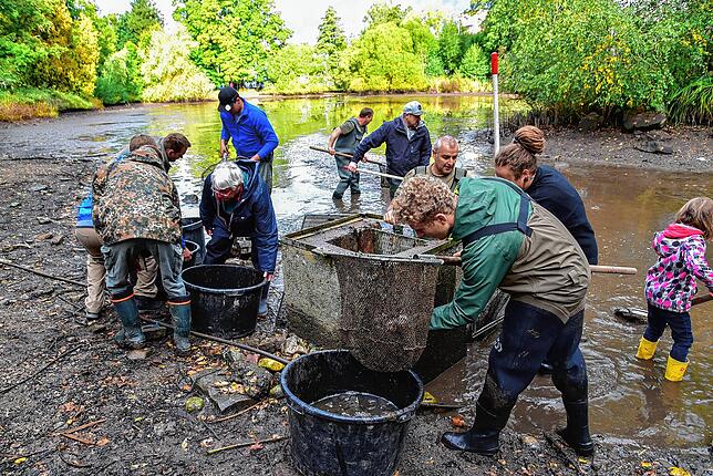 Im Eisweiher ist die Lage noch einigermaßen entspannt, die Anglergesellschaft beobachtet die Lage dort genau. Das Bild zeigt Mitglieder ...