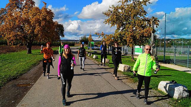 Im vergangenen Jahr hat die Young-Go-Gruppe um Martha Lorenz (vorne links) einige Treppchenplätze eingeheimst. Beim virtuellen Lauf ...
