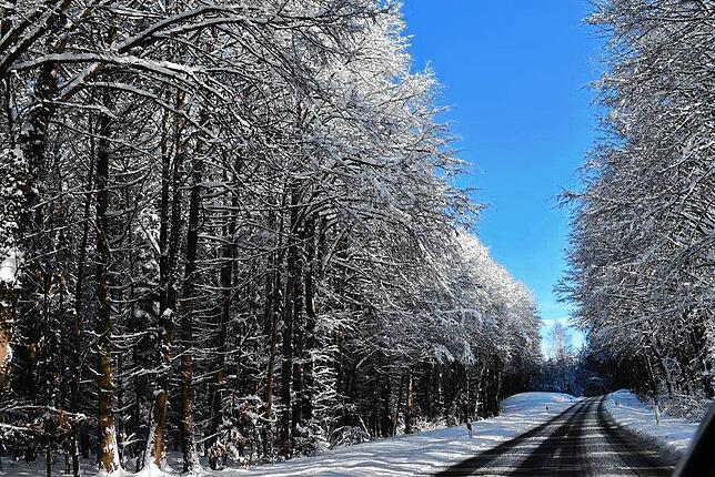 Bild 13: So viel Schnee gab es schon lange nicht mehr: Der Raum Stockach versinkt im weißen Pulver