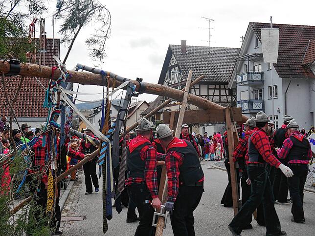Gemeinsam stellen die Holzer den Narrenbaum am Quakenbrunnen Ehingen.