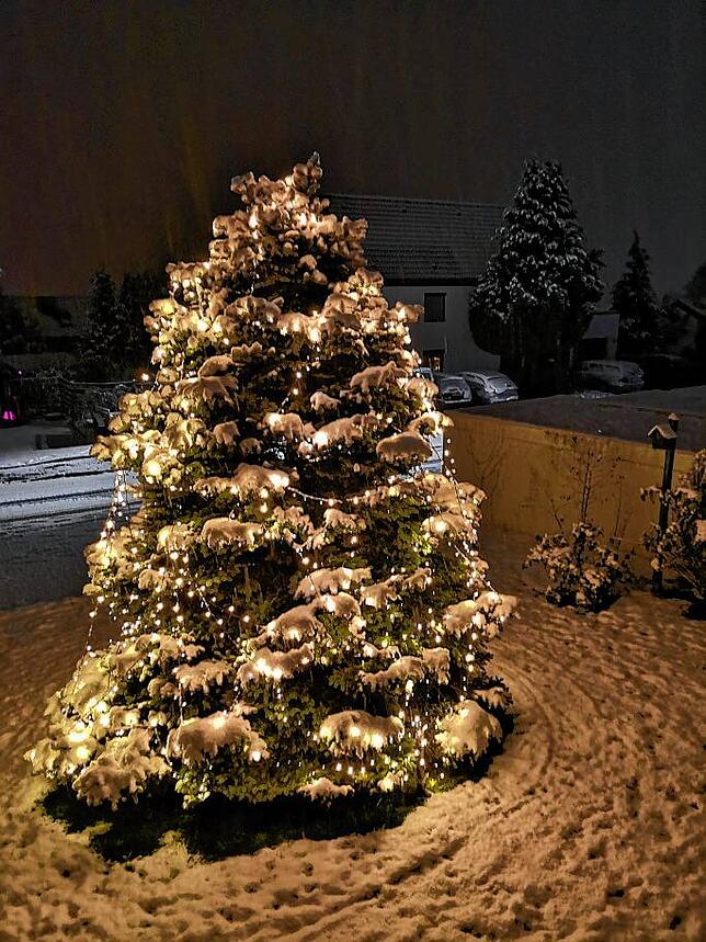 Dieser schön beleuchtete Weihnachtsbaum steht in Kadelburg auf der Rheinhöhe.