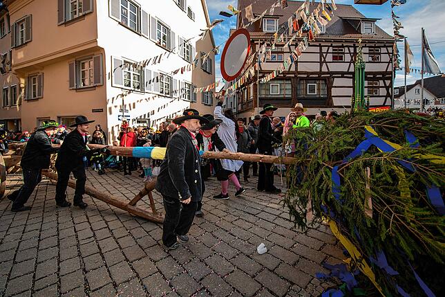 Bild 11: Bilder vom Schmotzigen Dunschdig in Meßkirch (Teil 3/3)